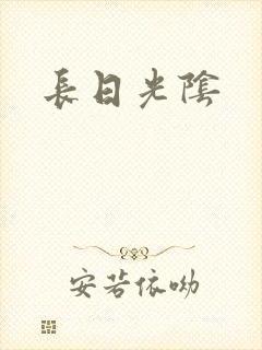 长日光阴封面