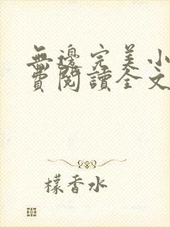 无边完美小说免费阅读全文最新章节