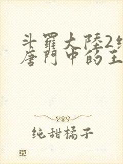 斗罗大陆2绝世唐门中的王冬