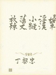 放荡小淫妇h肉辣文糙汉军婚