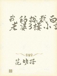 我的总裁白富美老婆3楼小说封面