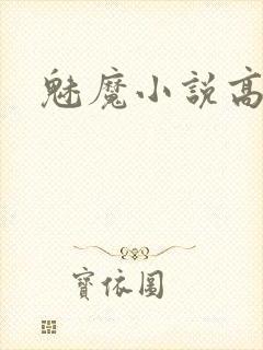 魅魔小说高h