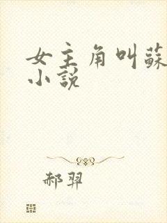 女主角叫苏o的小说