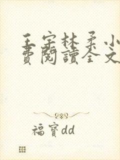 王宇林柔小说免费阅读全文最新章节