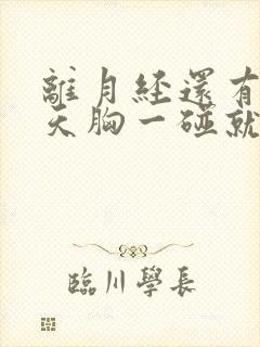 离月经还有十二天胸一碰就疼封面