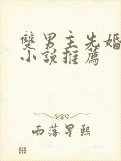 双男主先婚后爱小说推荐