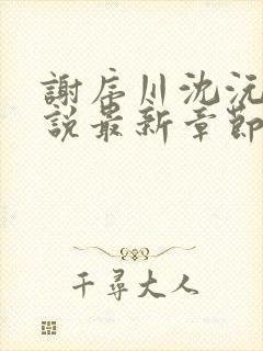 谢序川沈沅珠小说最新章节免费阅读