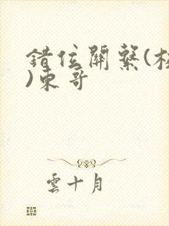 错位关系(校园)东哥