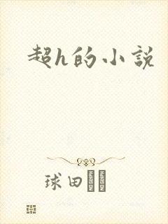 超h的小说