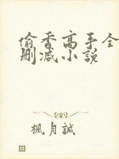 偷香高手全文无删减小说