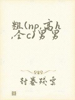 粗(np,高h,全c)男男
