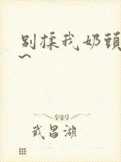 别揉我奶头嗯啊~