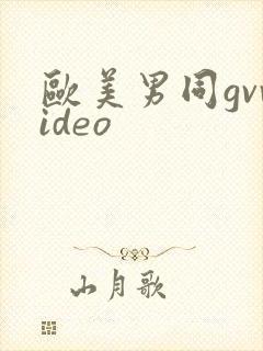 欧美男同gvvideo