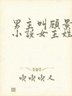 男主叫顾景琛的小说女主姓叶