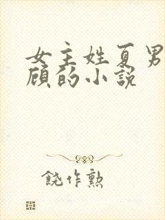 女主姓夏男主姓顾的小说