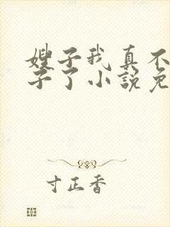 嫂子我真不是傻子了小说免费下载txt封面