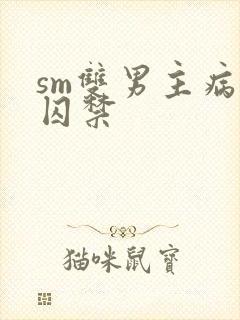 sm双男主病娇囚禁