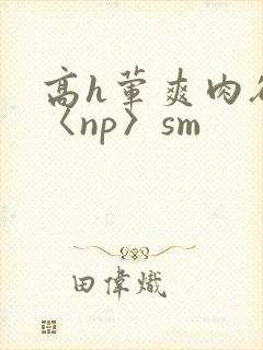 高h荤爽肉欲文〈np〉sm