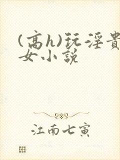 (高h)玩淫贵女小说