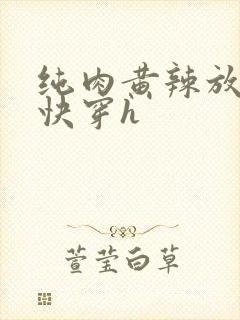 纯肉黄辣放荡高快穿h