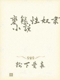 变态性奴隶调教 小说封面