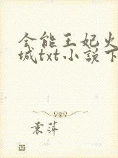 全能王妃火爆京城txt小说下载