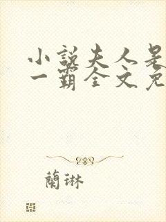 小说夫人是京城一霸全文免费阅读