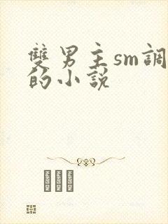 双男主sm调教的小说