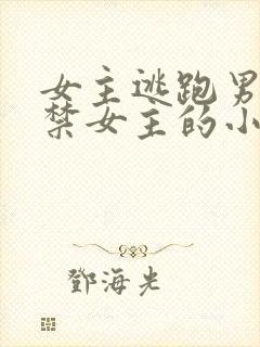 女主逃跑男主囚禁女主的小说封面