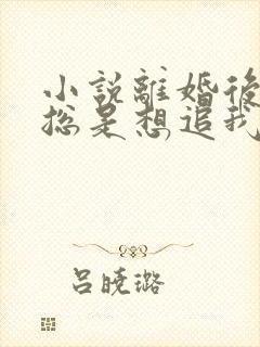 小说离婚后前夫总是想追我