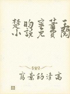 楚昀宁萧王穿越小说免费阅读无弹窗