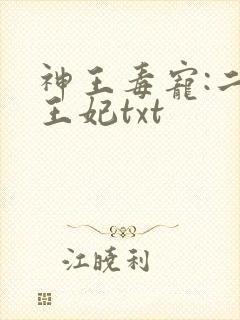 神王毒宠:二嫁王妃txt