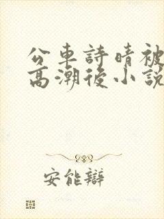 公车诗晴被弄到高潮后小说封面