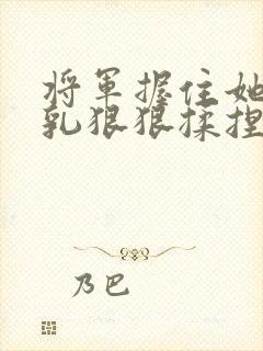 将军握住她的双乳狠狠揉捏小说封面