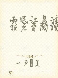 雨眠江易淮的小说免费阅读