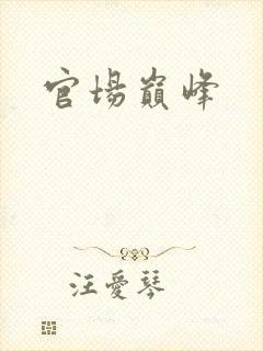 官场巅峰