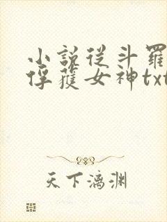 小说从斗罗开始俘获女神txt下载