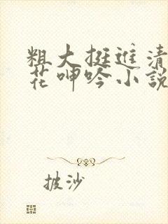 粗大挺进清纯校花呻吟小说