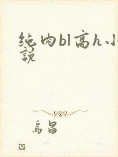 纯肉bl高h小说封面