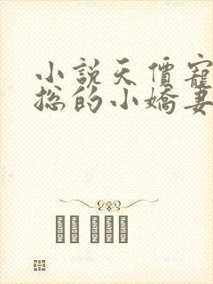 小说天价宠婚霍总的小娇妻