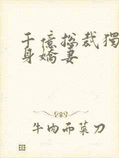 千亿总裁独宠替身娇妻