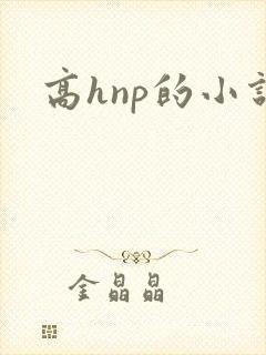 高hnp的小说