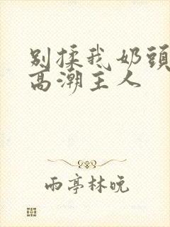 别揉我奶头嗯啊高潮主人封面