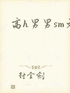 高h男男sm文
