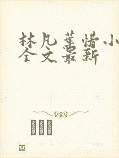 林凡叶惜小说读全文最新