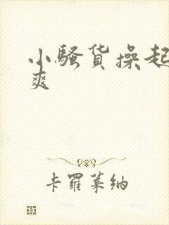 小骚货操起来真爽封面