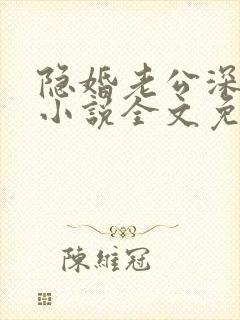 隐婚老公深夜来小说全文免费阅读