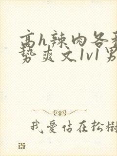 高h辣肉各种姿势爽文1v1男男