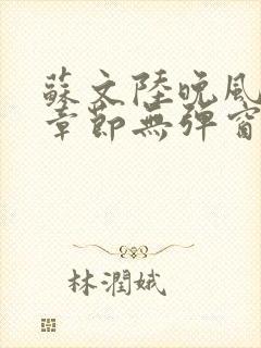 苏文陆晚风最新章节无弹窗笔趣阁