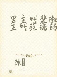 男主叫裴彻,女主叫苏璃的小说